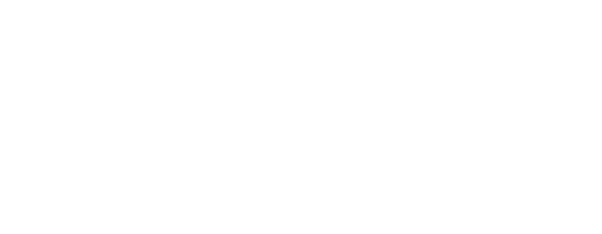 Smart Option Logo